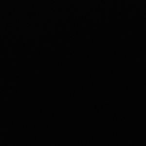 Meet your Posher, Ella